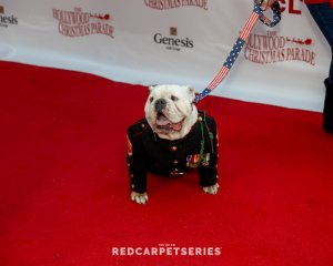 Hollywood-Christmas-Parade-2024-Photography-By-Dumisani-Maraire-Jr.-for-Red-Carpet-Series-33-of-430