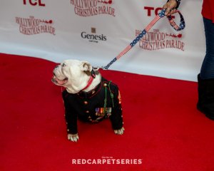 Hollywood-Christmas-Parade-2024-Photography-By-Dumisani-Maraire-Jr.-for-Red-Carpet-Series-34-of-430