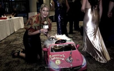 Cupcake’s Chronicles at the Luxury Gala by Samira’s Network. 
 Grab your early b…