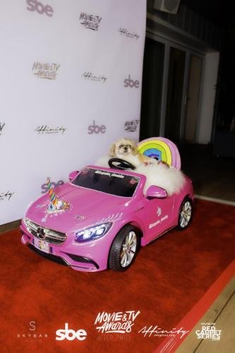 Affinity-Nightlife-MTV-Movie-TV-Awards-After-Party-Skybar-at-Mondrian-06-15-19-Red-Carpet-Series-Dumisani-Maraire-Jr-Portfolio-2