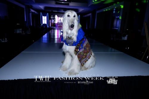 LA-Fashion-Week-by-LA-Fashion-Closet-W-Hollywood-Red-Carpet-Series-Dumisani-Maraire-Jr-Portfolio-14