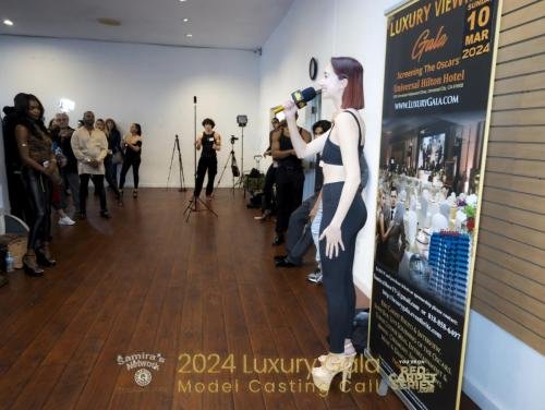 Luxury Gala 2024 Model Casting Call - Samira's Network - Red Carpet Series_73